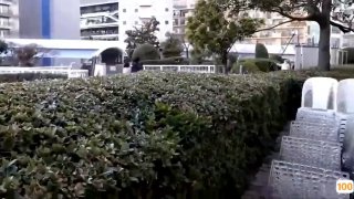 盛夏晚晴天小说东莞选妃挑选了个身材不错的美女酒店啪啪
